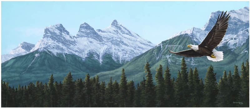 Darren Haley Soaring The Sisters